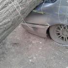 В Ялте на платную парковку упало дерево